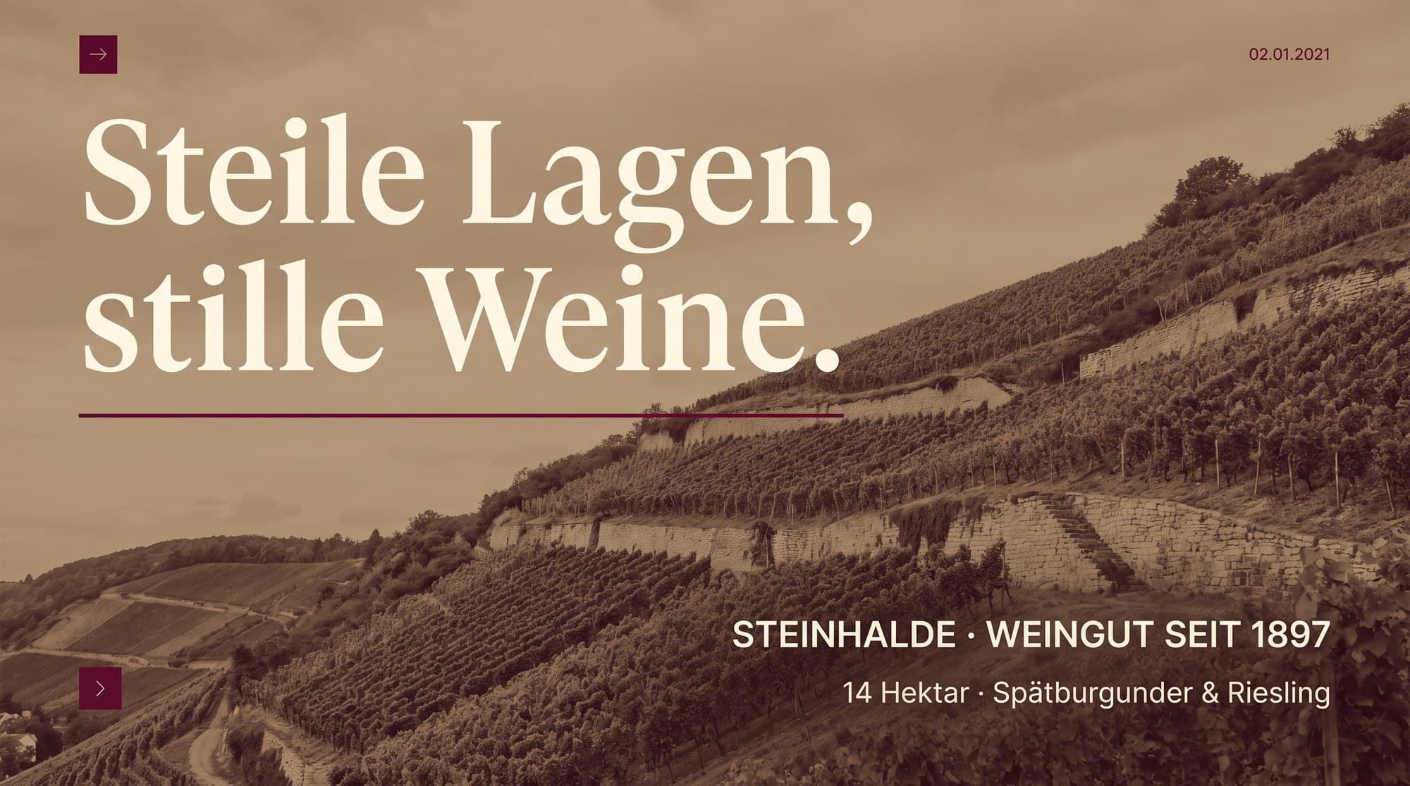 Steinhalde · Konzept-Studie (Weingut)